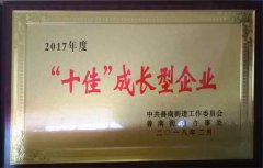 十佳成長企業(yè)